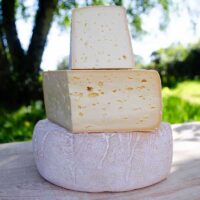 Un fromage fermier au lait cru bio de nos vaches à la croûte lavée et très fondant