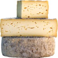 Fromage de type tome au lait cru bio, de nos vaches nourries à l'herbe. commandez et récupérez dans notre fromagerie fermière et artisanale en normandie