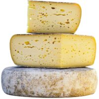 Fromage à pâte pressée bio, exclusive de notre fromagerie fermière en Normandie, Seine Maritime