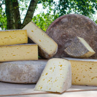 Les differentes recettes de fromages de la ferme